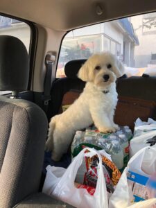 280960087_1914353228774463_7036504039824003778_n