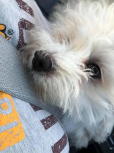 281141016_1914353428774443_8145140481526619676_n