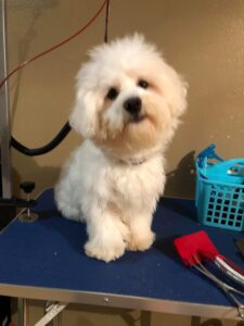 281200071_1914353082107811_7590772955651642665_n