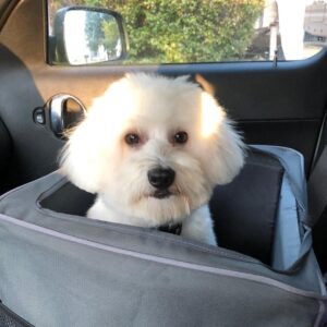 281348667_1914353305441122_8354779513976538433_n