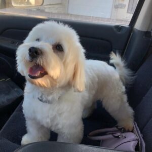 281460712_1914353442107775_5423731783576594677_n